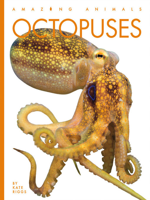 Title details for Octopuses by Kate Riggs - Available